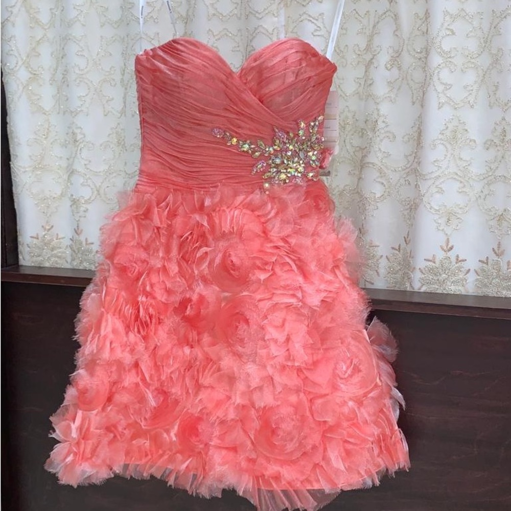 Beautiful Hannah dress in coral, size 0, brand new with tags!
